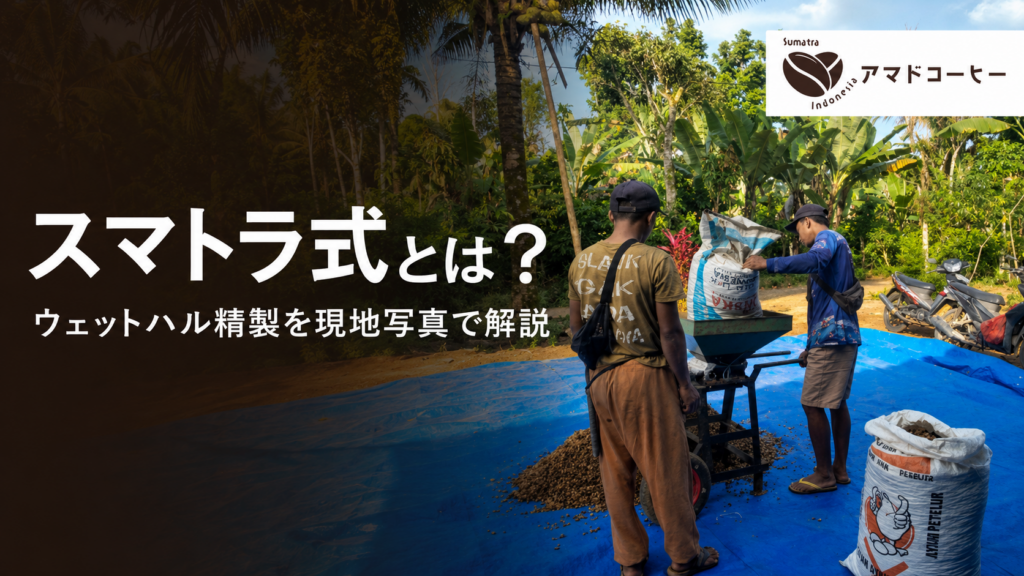 【スマトラ式(ウェットハル)とは?】インドネシア発コーヒー精製方法を解説!