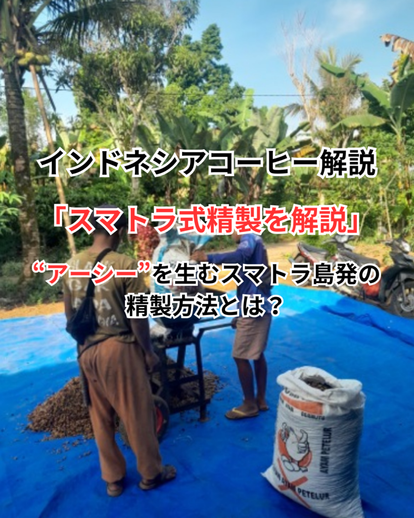 【スマトラ式（ウェットハル）とは？】インドネシア発コーヒー精製方法を解説！