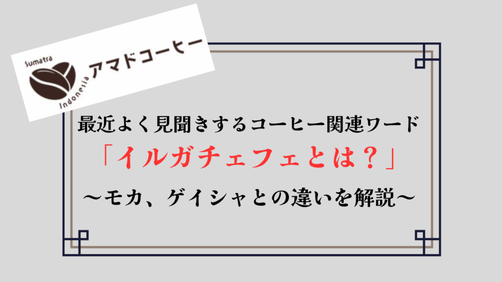 【イルガチェフェとは？】モカコーヒーやゲイシャとの違いを徹底解説【アマドコーヒー】
