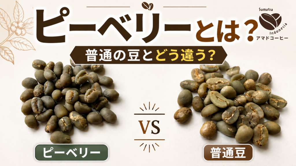 【ピーベリーとは？】普通のコーヒー豆との違いと味を実際にレビュー